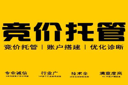 揭秘sem百度竞价背后的成功秘诀与案例